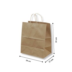 bolsa con manilla 26x17x31cm 500 unids.